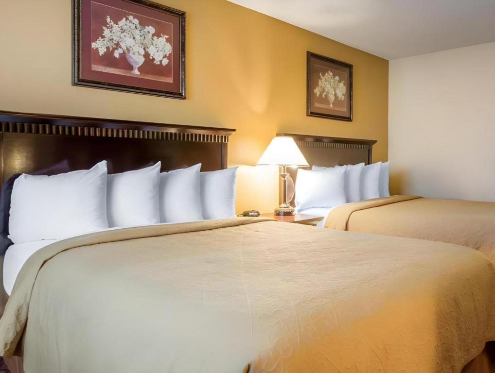 Quality Inn San Bernardino Dış mekan fotoğraf