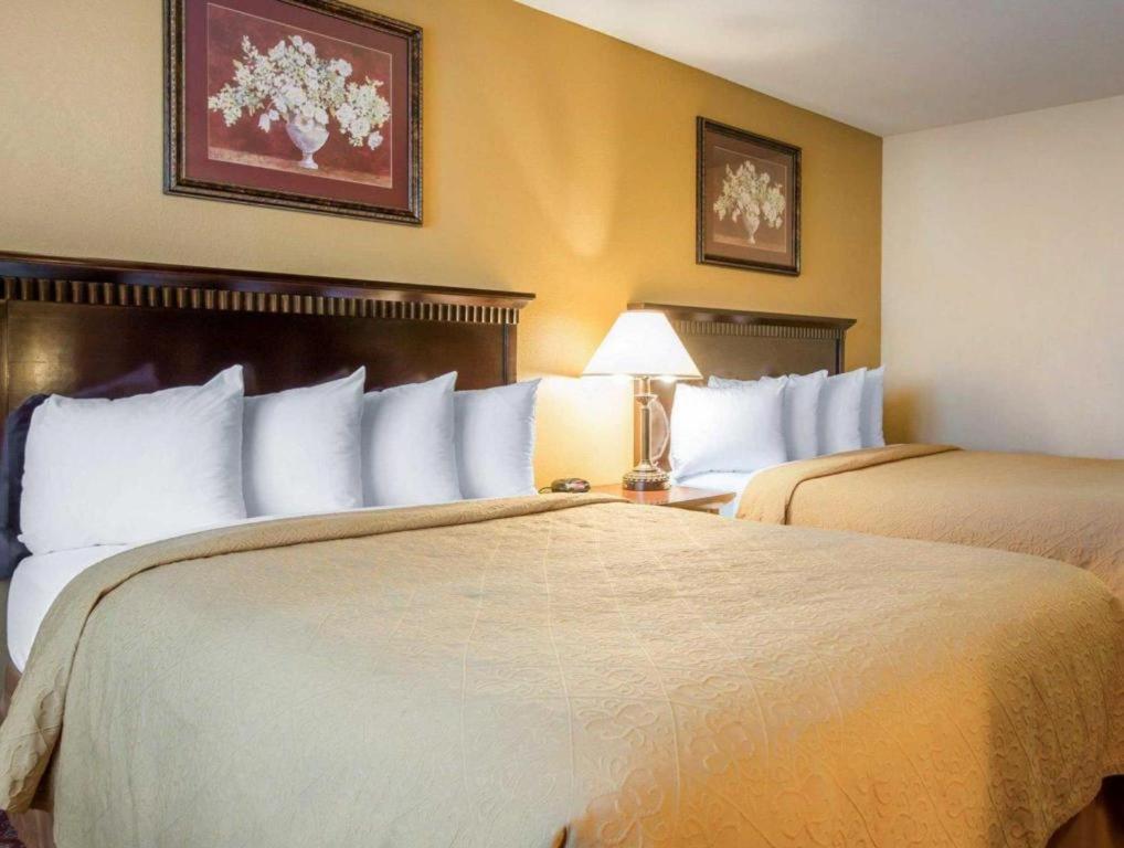 Quality Inn San Bernardino Dış mekan fotoğraf
