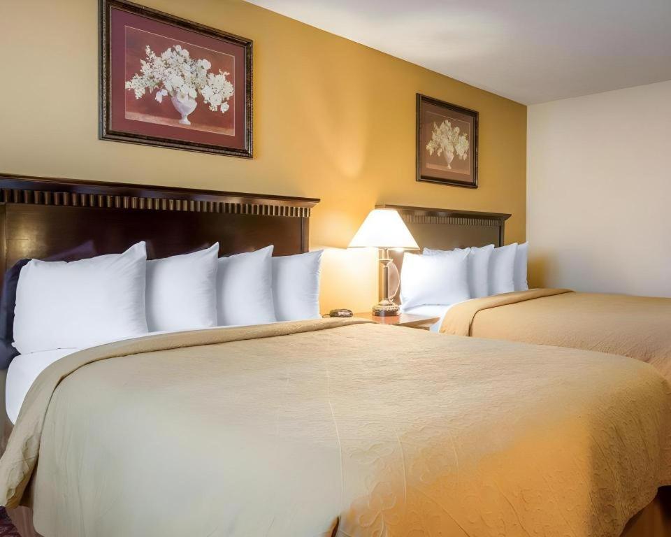 Quality Inn San Bernardino Dış mekan fotoğraf