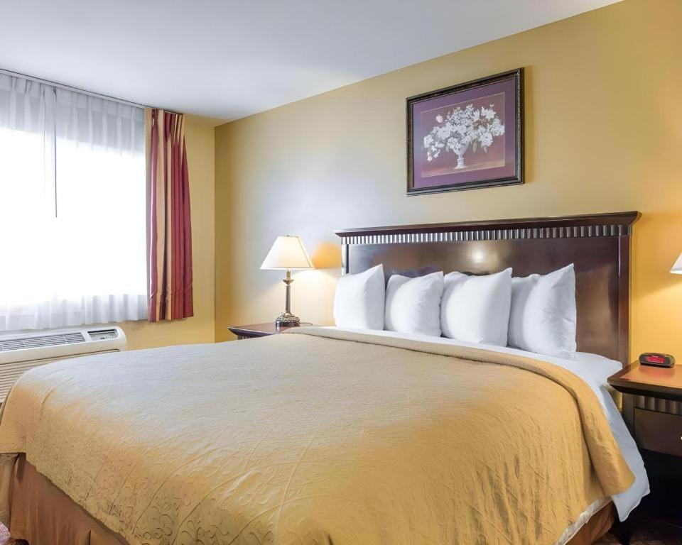 Quality Inn San Bernardino Dış mekan fotoğraf